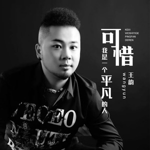 可惜我是一个平凡的人（DJheap九天版）