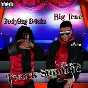 Twerk Something (feat. BodyBag Bricks) (Explicit)
