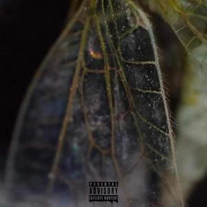 Que enfado (Explicit)