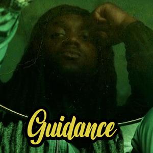 Guidance (Explicit)