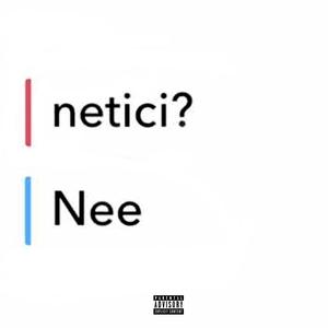 VINA NETIC (Explicit)