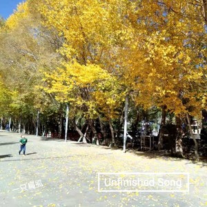 Unfinished Song (Demo)