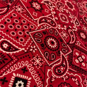 Have Them Bandz (Explicit)