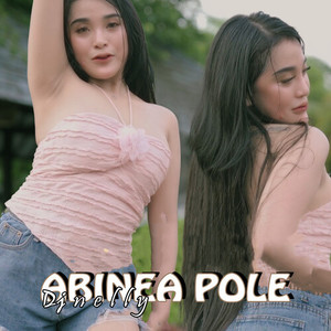 Abinea Pole