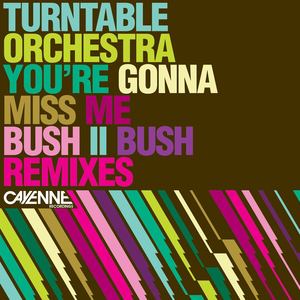 You're Gonna Miss Me (Bush II Bush Remixes - The XXl Version)