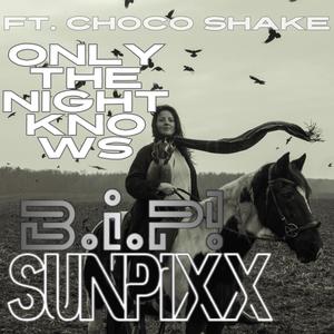 Only the Night Knows (feat. CHOCO SHAKE)