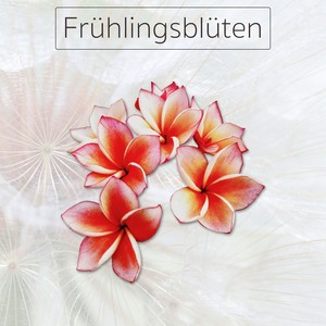 Frühlingsblüten