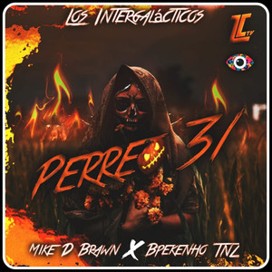 Perreo 31