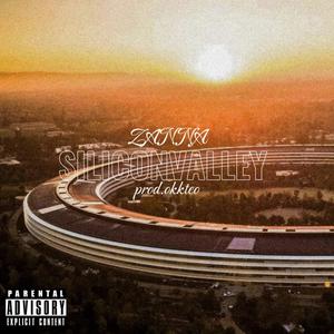 SILICON VALLEY (Explicit)