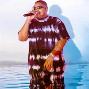 ELEVANDO A VIBE (feat. Dj 2r Oficial & Kevin o chris) (Explicit)