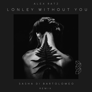 Lonely Without You (Remix)