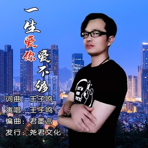 一生爱你爱不够