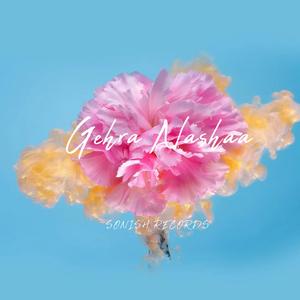 GEHRA NASHA