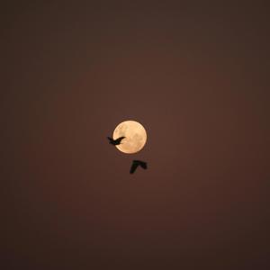 Moonlight (feat. Vova Hayek)