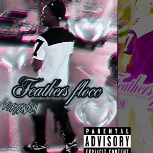 Feathers flocc (Explicit)