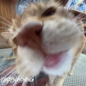 A dream to be at the top