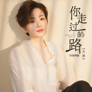 你走过的路 (DJ浩然版)封面