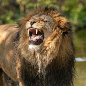 Dangerous (Explicit)