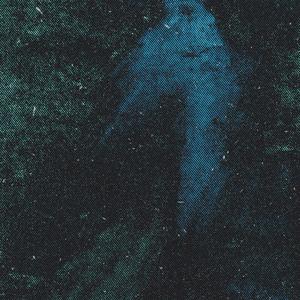 D (deconstructivism)