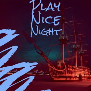 Play Nice Night