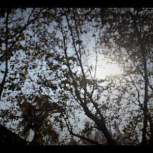 From Shanghai(To Wherever I Will Go)