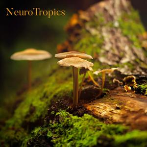 NeuroTropics (feat. The Yungavelle)