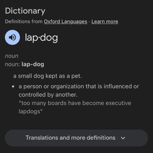 Lap Dog (Explicit)