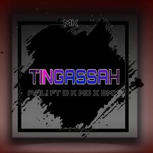 TINGASSAH (feat. D.K.MO & BMX)