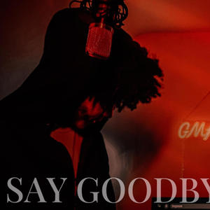 Say Goodbye (Explicit)