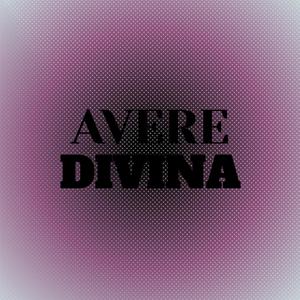 Avere Divina