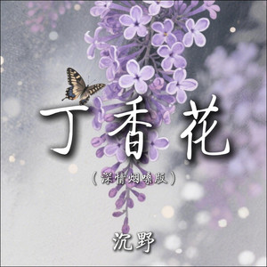 丁香花 (深情烟嗓版)
