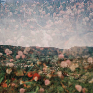Rosas de Barcial