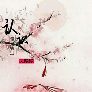 认识便是错过 (伴奏)