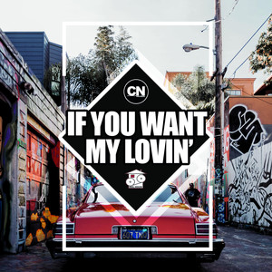If You Want My Lovin’ (Extended Mix)