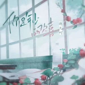 你是年少的欢喜 (伴奏)