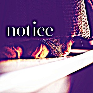 notice