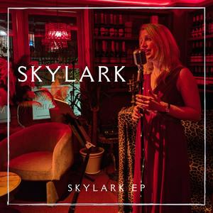 Skylark (feat. David Hall, Paul Beeching & Andy Hall)