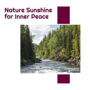 Polite Distant Muffed Morning Lullaby