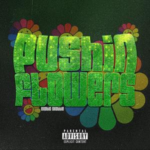 Pushin Flowers (Explicit)