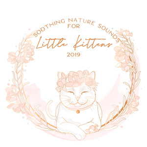 Soothing Nature Sounds for Little Kittens 2019