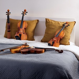 Strings Of The Sleeping Night