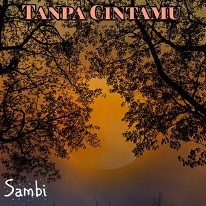 Tanpa Cintamu