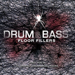 Drum & Bass Floor Fillers 2012 Vol.2