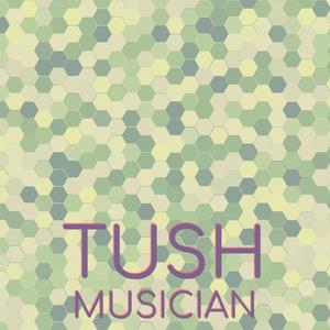 Tush Musician
