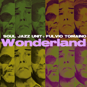Wonderland (feat. Fulvio Tomaino)