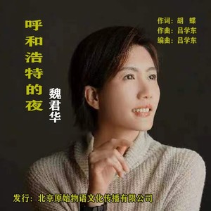 呼和浩特的夜