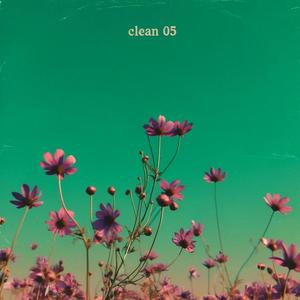 clean 05 (Explicit)