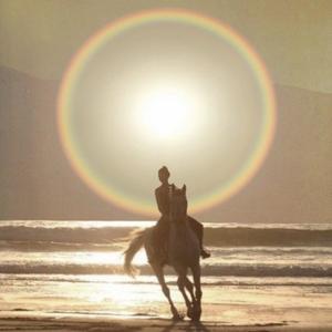 catch the vibe (Explicit)