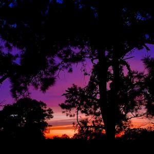 what could I have done