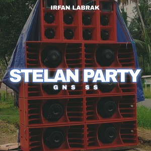 Stelan Party Gns Ss